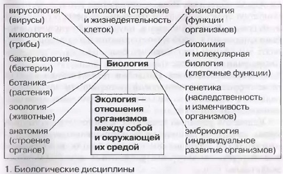 Что изучает биология 6 класс краткое содержание