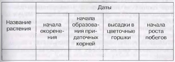 какое значение имеет вегетативное размножение в природе