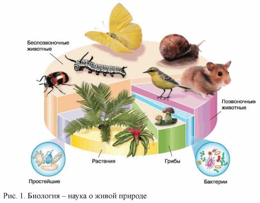 Биология - наука о живои природе