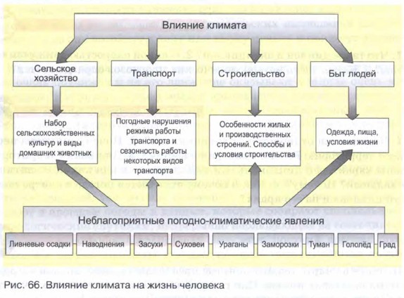 Влияние климата на человека презентация