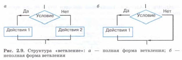 Структура «ветвление»