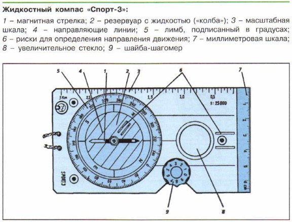 Что значит ориентироваться на местности 6 класс