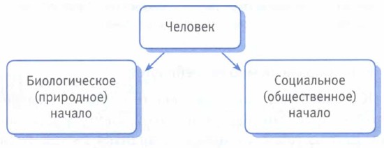 В чем загадка человека. 1.3. В чем загадка человека фото. В чем загадка человека-1.3. картинка В чем загадка человека. картинка 1.3