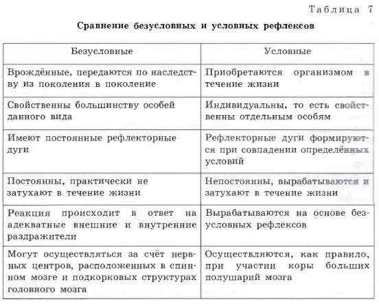 Высшая нервная деятельность. Рефлексы. Биология 8 класс