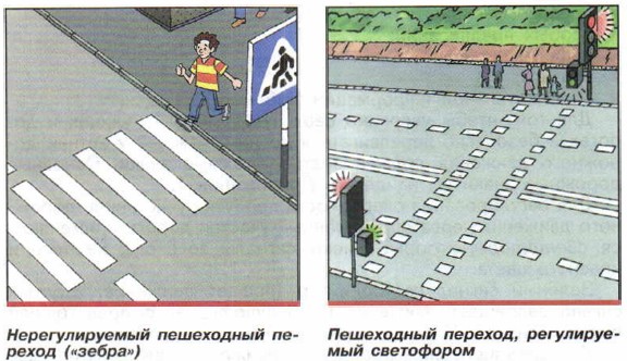 Дорожное движение, безопасность участников дорожного движения. ОБЖ 5 класс