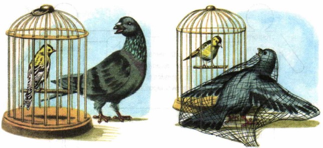 Тема и основная мысль текста. Заглавие текста. Русский