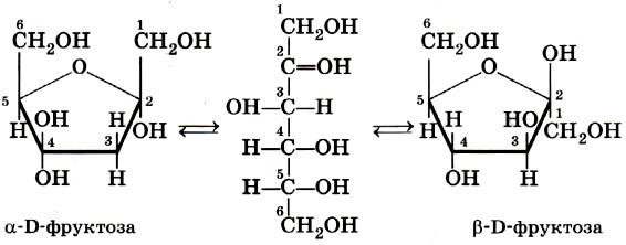 Моносахариды. Гексозы. Глюкоза. Фруктоза
