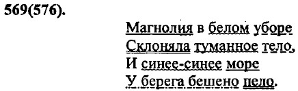 . 569 (576).