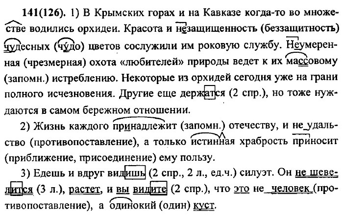 . 141 (126).