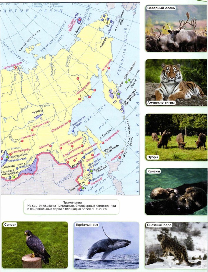 Карта россии с заповедниками атлас 8 класс