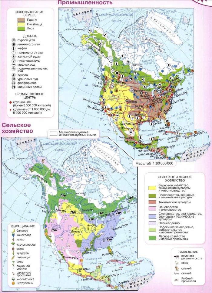 Главные сельскохозяйственные районы сша. Карта Северной Америки 7 класс география атлас. Природные зоны Северной Америки 7 класс атлас. Атлас 7 класс география Северная Америка. Сельское хозяйство Северной Америки карта.