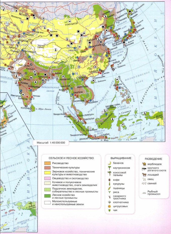 Зарубежная азия хозяйственная деятельность населения контурная карта