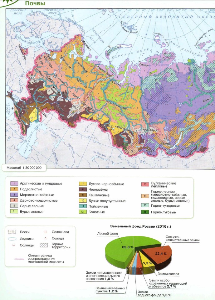 Почвы россии география 8 класс карта россии