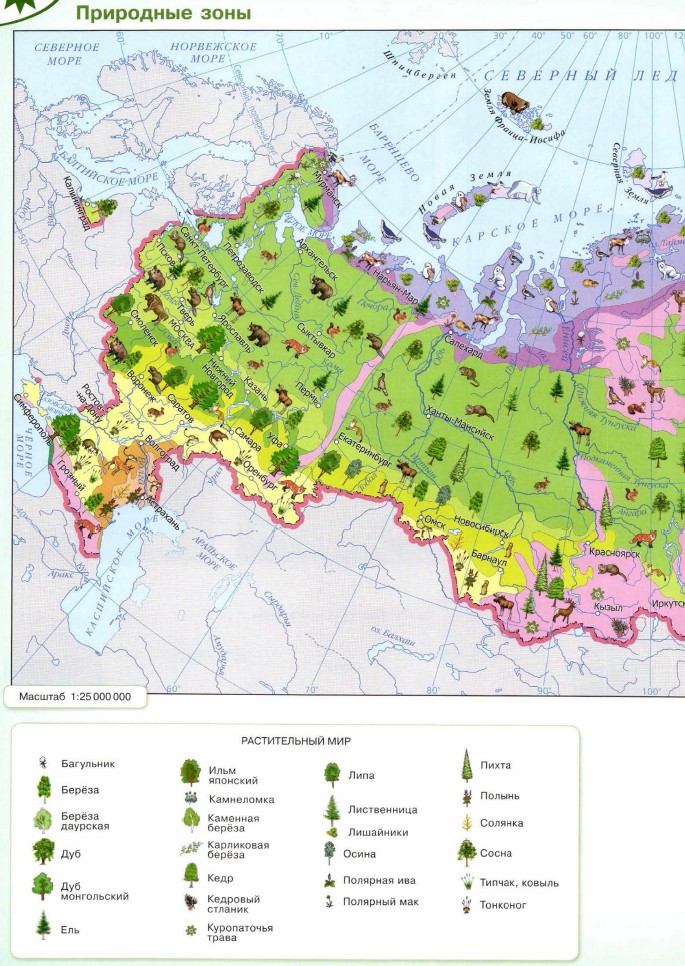 Карта природных зон россии атлас
