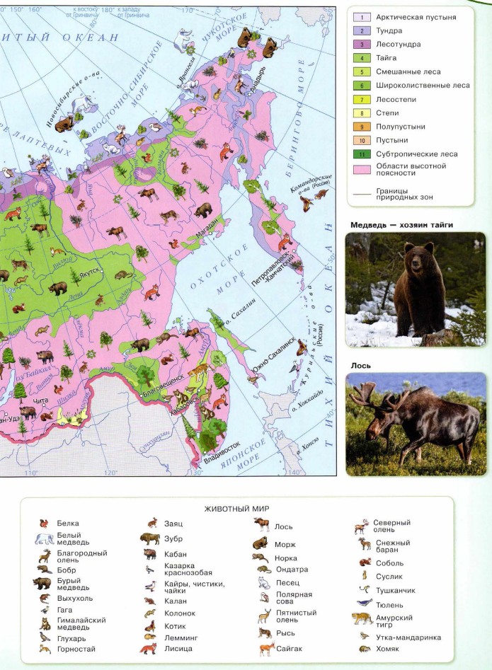 Природные зоны России атлас 8 класс география. Атлас 6 класс природные зоны