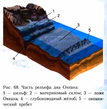 Часть рельефа дна океана рисунок 6 класс