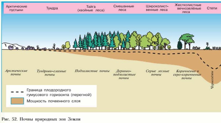 Перечислить почвы с севера на юг. Типы почв земли таблица география 7 класс. Почвы в разных природных зонах. Типы почв география 7 класс. Типы почв распространение на земле.