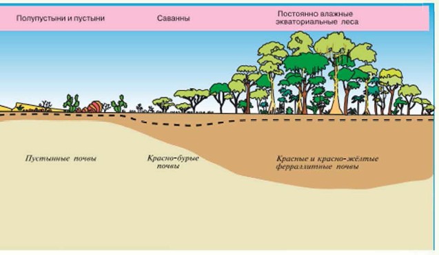 Типы почв схема