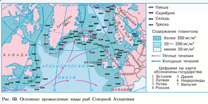 Рыбная карта россии