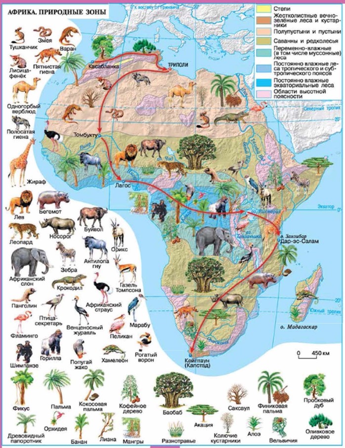 Карта природные зоны африки карта