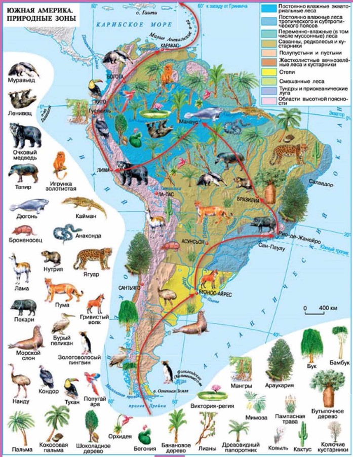 Карта природные зоны южная америка