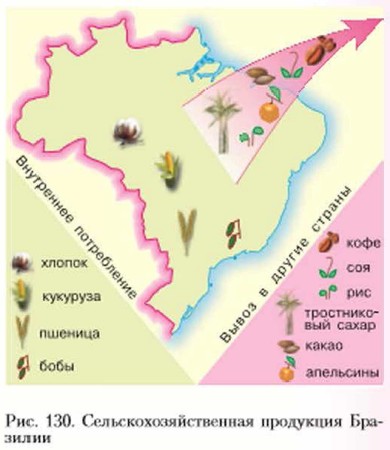 Бразилия экономическая карта