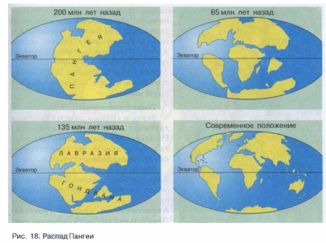 Пангея лавразия и гондвана схема