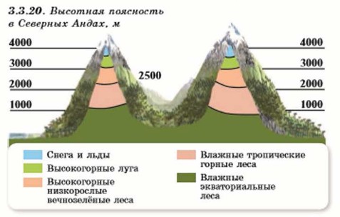 Средняя абсолютная высота гор анды. Высотная поясность в Андах 7 класс. Высотная поясность Южной Америки. Высотная поясность в Андах. Высотная поясность горы Аконкагуа.