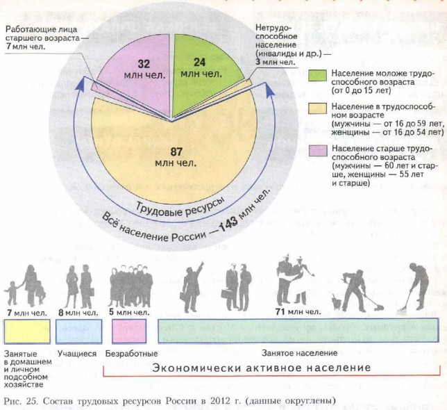 Прокомментируйте схему состав трудовых ресурсов россии на начало 2019 года география 8 класс