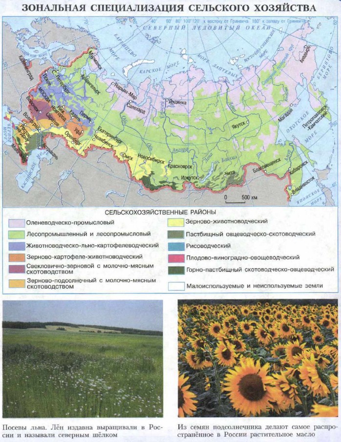 Растениеводство в россии карта
