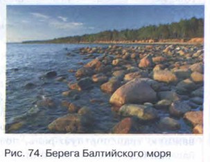 Берега Балтийского моря