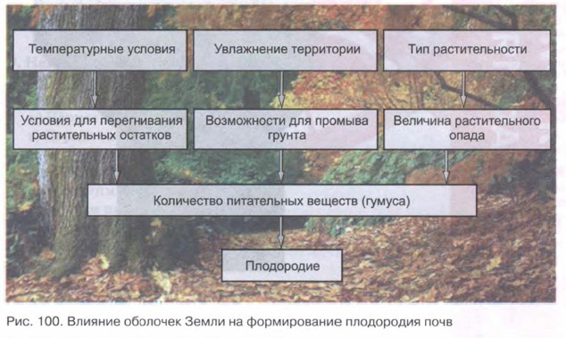 Схема формирования почвы