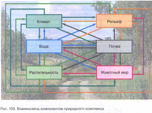 Схема взаимосвязей между компонентами природного комплекса 6 класс