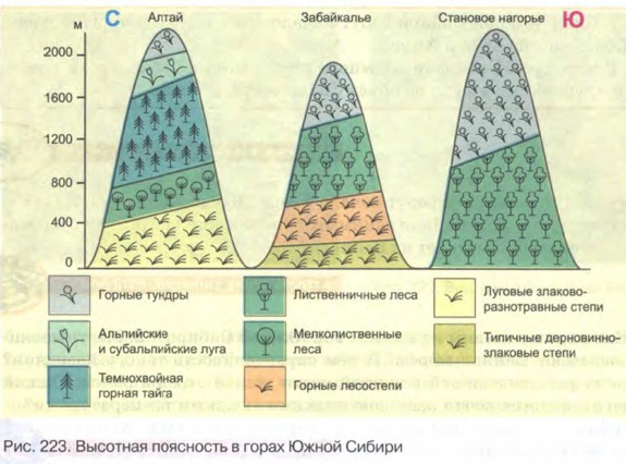 Рассмотрите рисунок 113 на с 168 учебника объясните в чем различия высотной поясности в горах