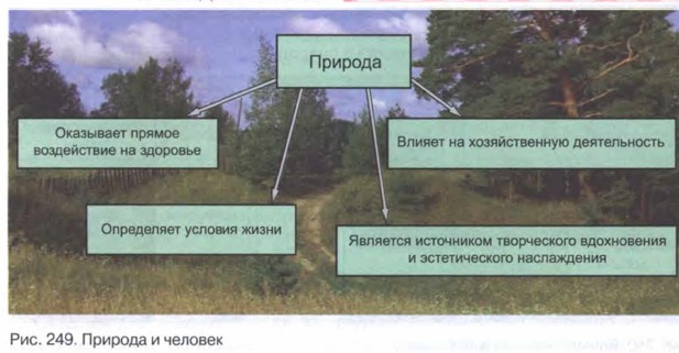 Влияние природы на развитие общества презентация 8 класс география