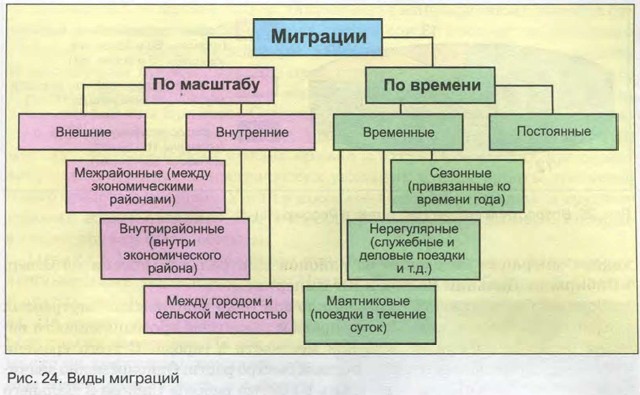 Виды миграций населения схема