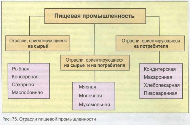 Составить схему отрасли легкой промышленности для своего района