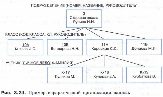 Обведи номера схем с помощью которых можно объяснить понятие иерархия