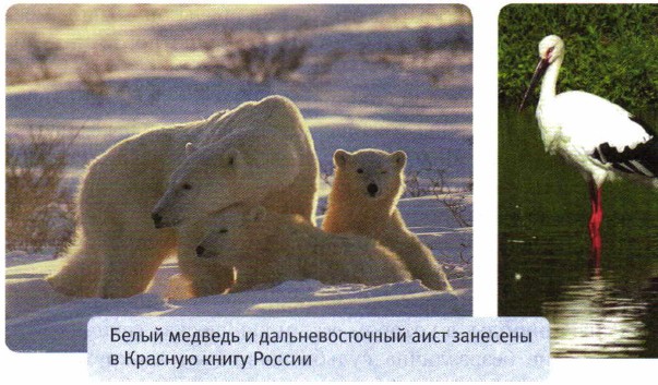 ������� �����