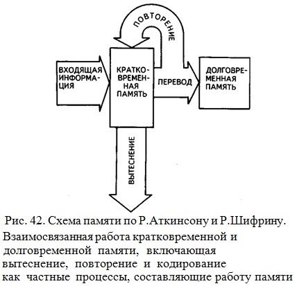 Схема памяти по р аткинсону и р шифрину