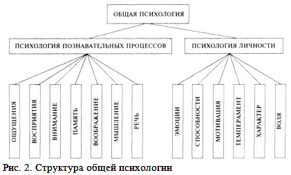 Структура общей психологии