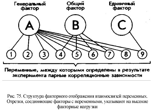 Структура факторного отображения взаимосвязей переменных