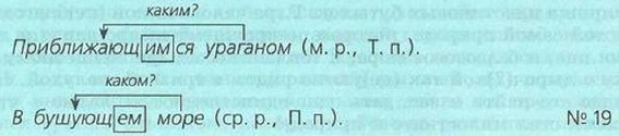 Падежи причастий 7 класс