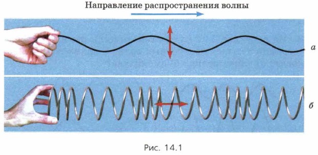 Поперечная волна картинка