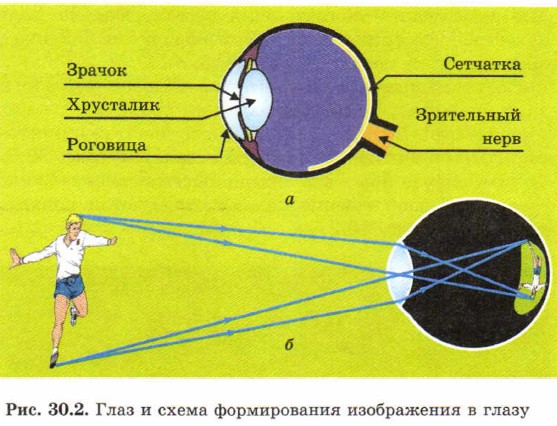 Формирование изображения в глазу