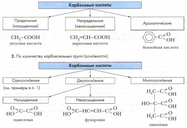 Индивидуальный проект карбоновые кислоты