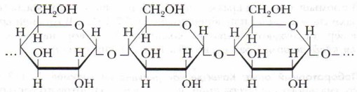 Образование молекулы крахмала. Строение молекулы крахмала. Структура молекулы крахмала. Линейное строение крахмала. Строение полимерной цепи крахмала.