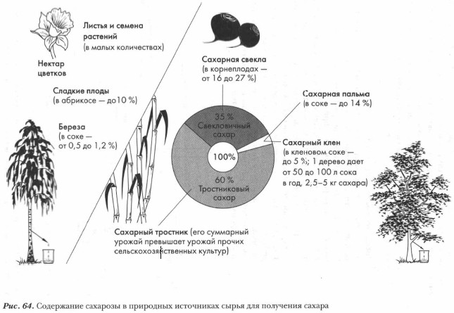 Из каких растений выделяют сахарозу составьте схему