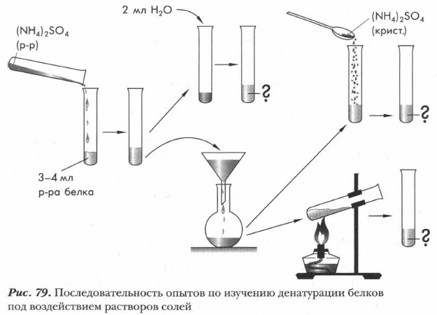 На рисунке изображена схема проведения опыта в котором наблюдается