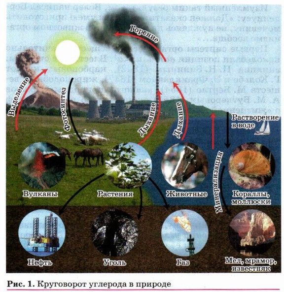 Схема круговорота водорода в природе схема